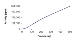 Sino Biological&nbsp;Recombinant Human EGFR Protein (G719C, GST Tag), Active